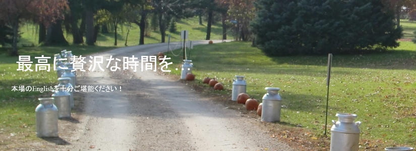 英会話スクールのコース紹介